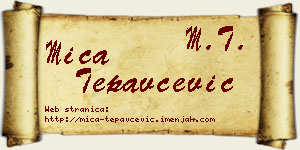 Mića Tepavčević vizit kartica